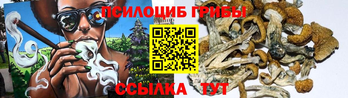 Галлюциногенные грибы Cubensis  Вход с VPN  Псилоцибиновые грибы Psilocybine cubensis  продажа наркотиков  Лиски 