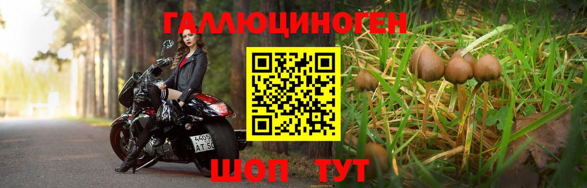 Псилоцибиновые грибы прущие грибы Лиски